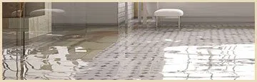 logo-image - banner-flood-wgr-35