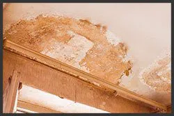 Hialeah Emergency Restoration Hialeah, FL 786-384-6092 - sid-damage-wgr-35